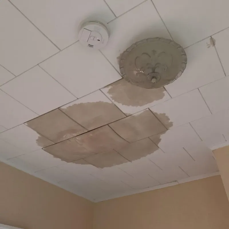Ceiling Water Damage Repair in Palestine, TX